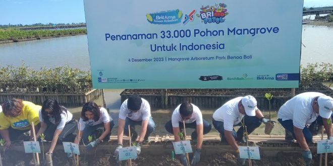 Babinsa Koramil 1611-02/Densel Atensi Penanaman Mangrove Diselenggarakan Bank BRI