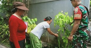 Memberikan Sosialisasi Edukasi Pemilahan Sampah Babinsa Mengwi Mengajak Warga Hidup Bersih