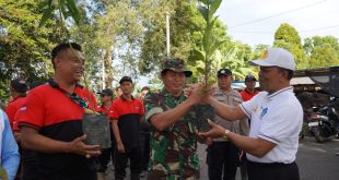 Tingkatkan Kelestarian Lingkungan, Babinsa Petang Turut Serta Penanaman Pohon Serentak
