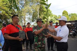 Tingkatkan Kelestarian Lingkungan, Babinsa Petang Turut Serta Penanaman Pohon Serentak